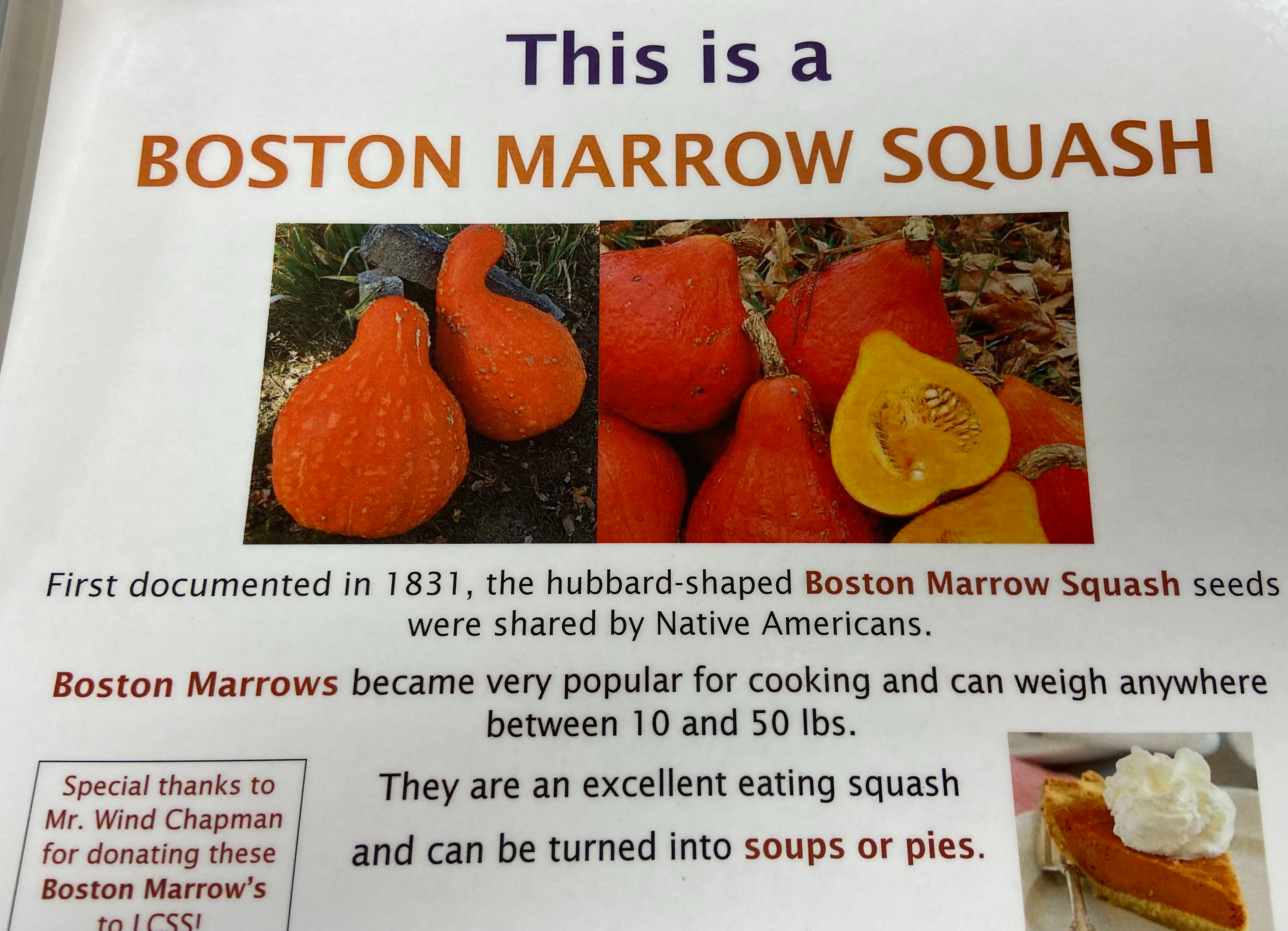 This is a Boston Marrow Squash!  Oct '22
