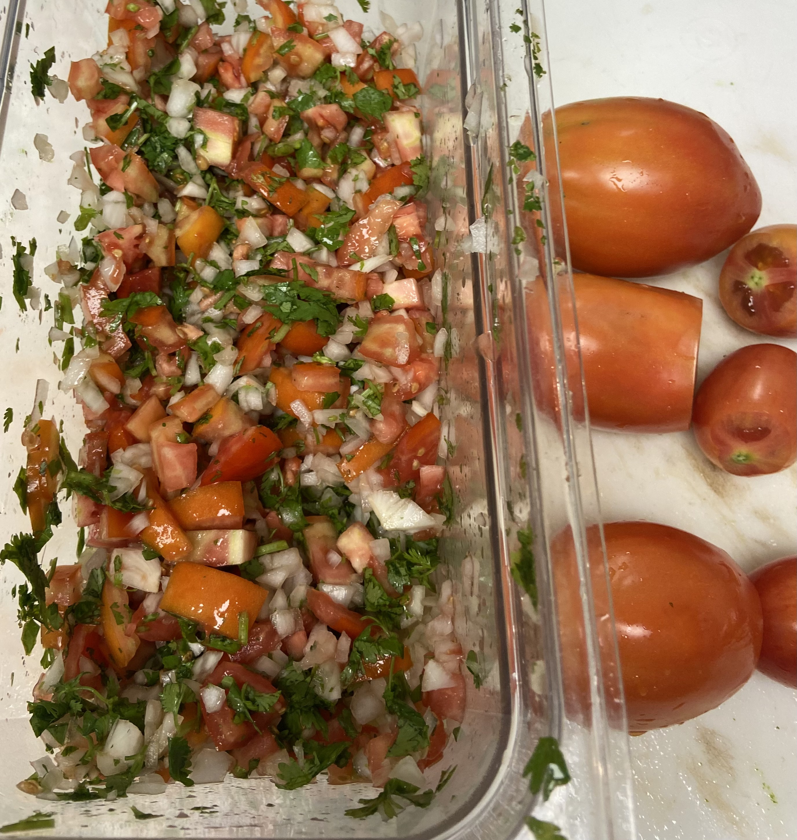 Homemade Pico, LCHS, Fall '22