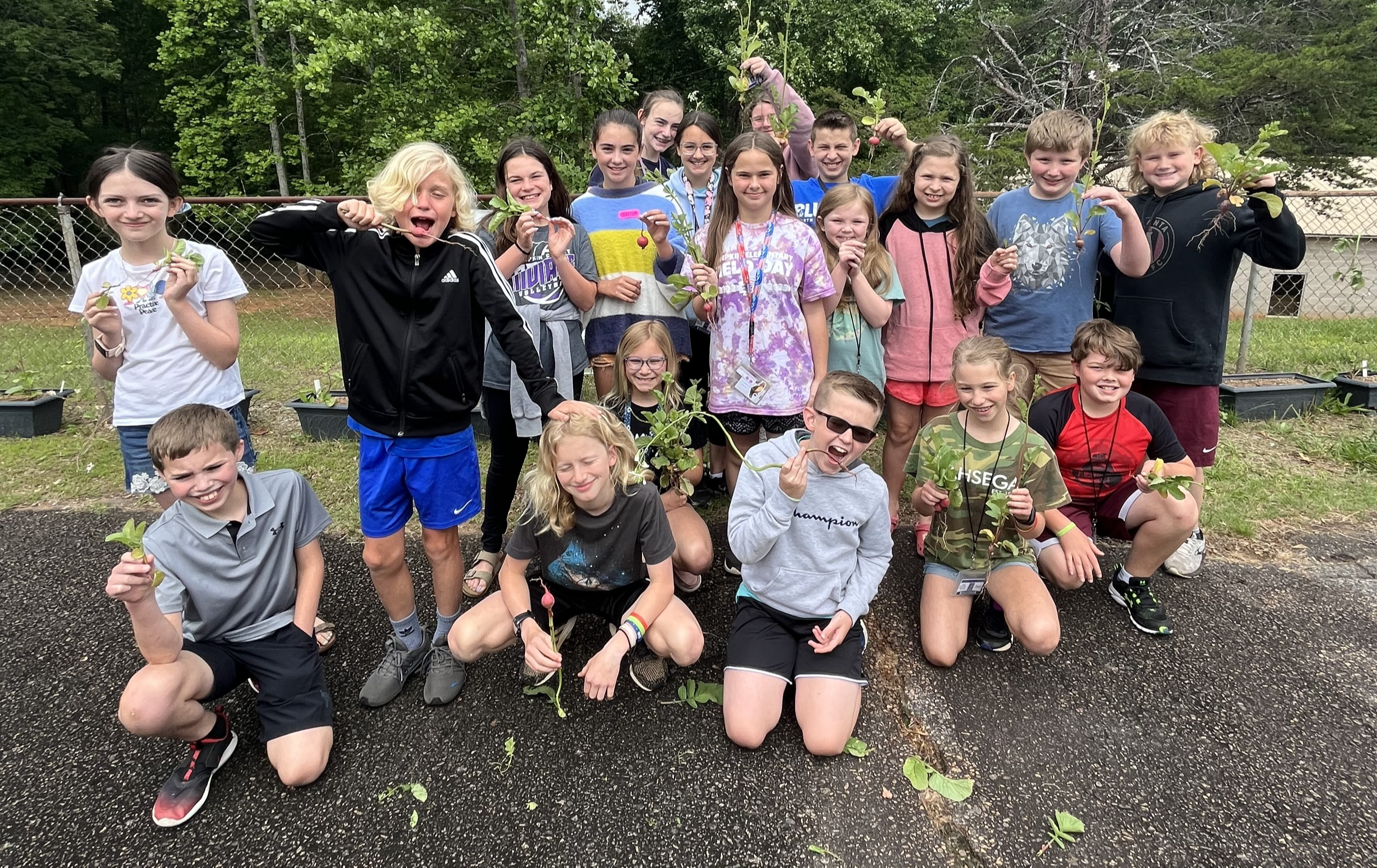 LCES-5 classes, garden project growing radishes, spring '23!