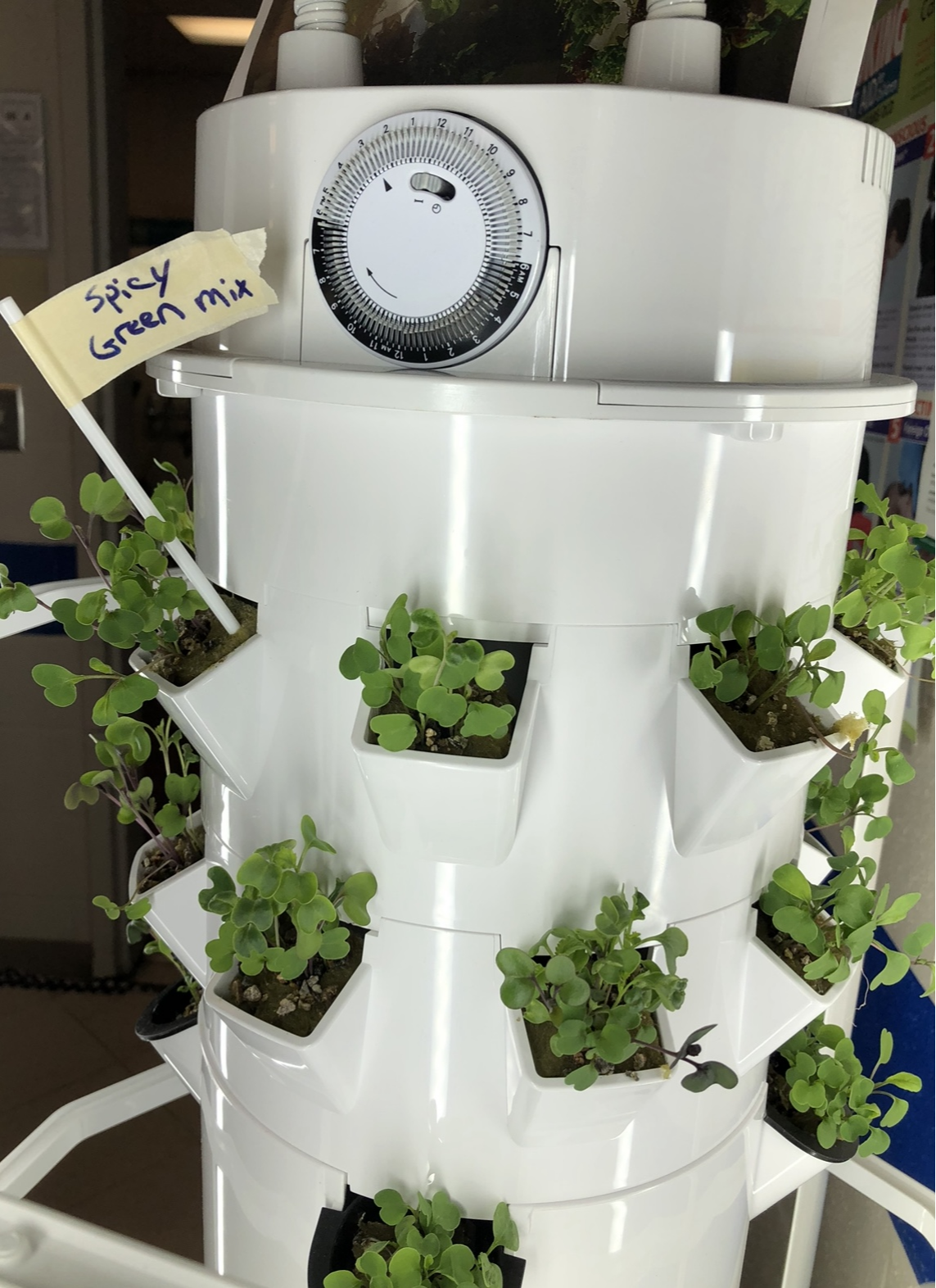 Grow Towers in all school kitchens with HMI grant!