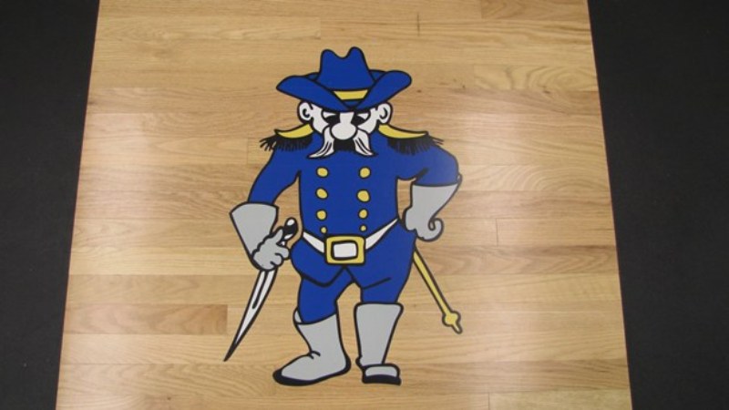 A blue mascot stands on a polished wooden floor, showcasing vibrant colors against the natural wood grain.