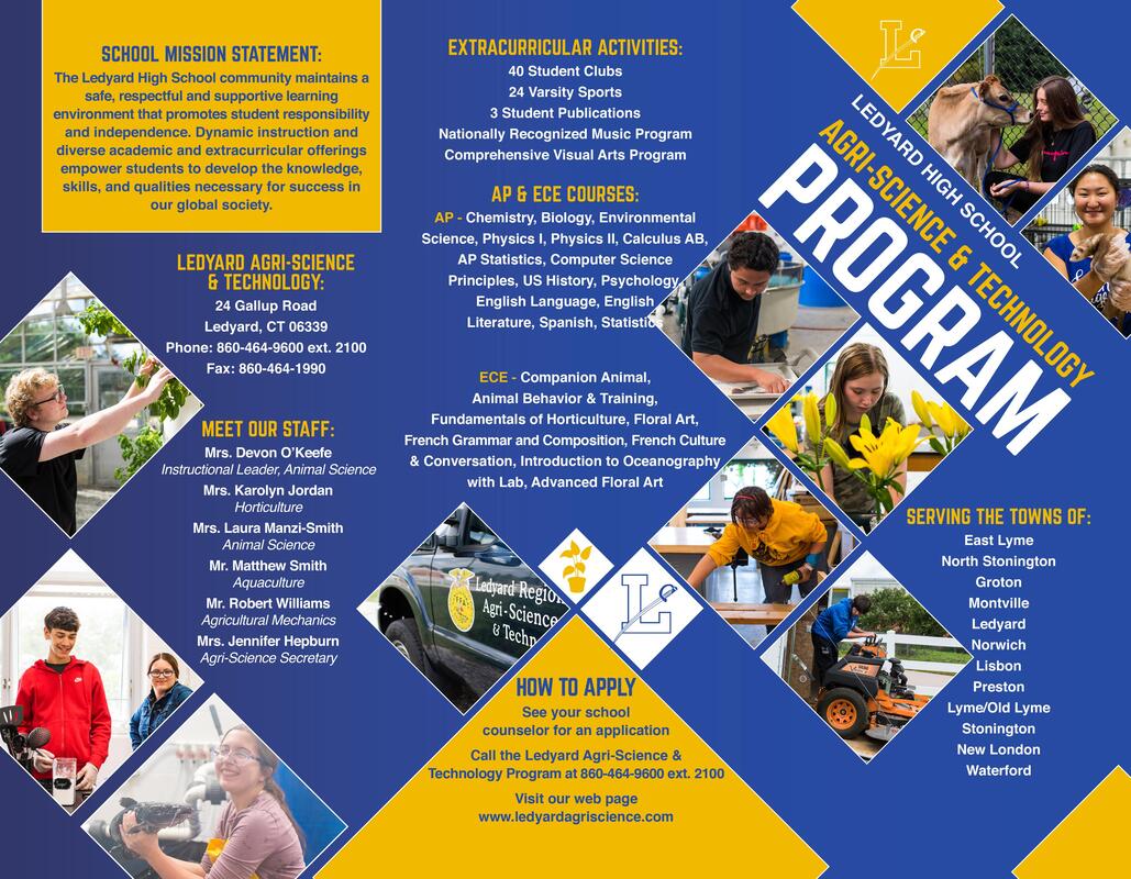 Brochure info