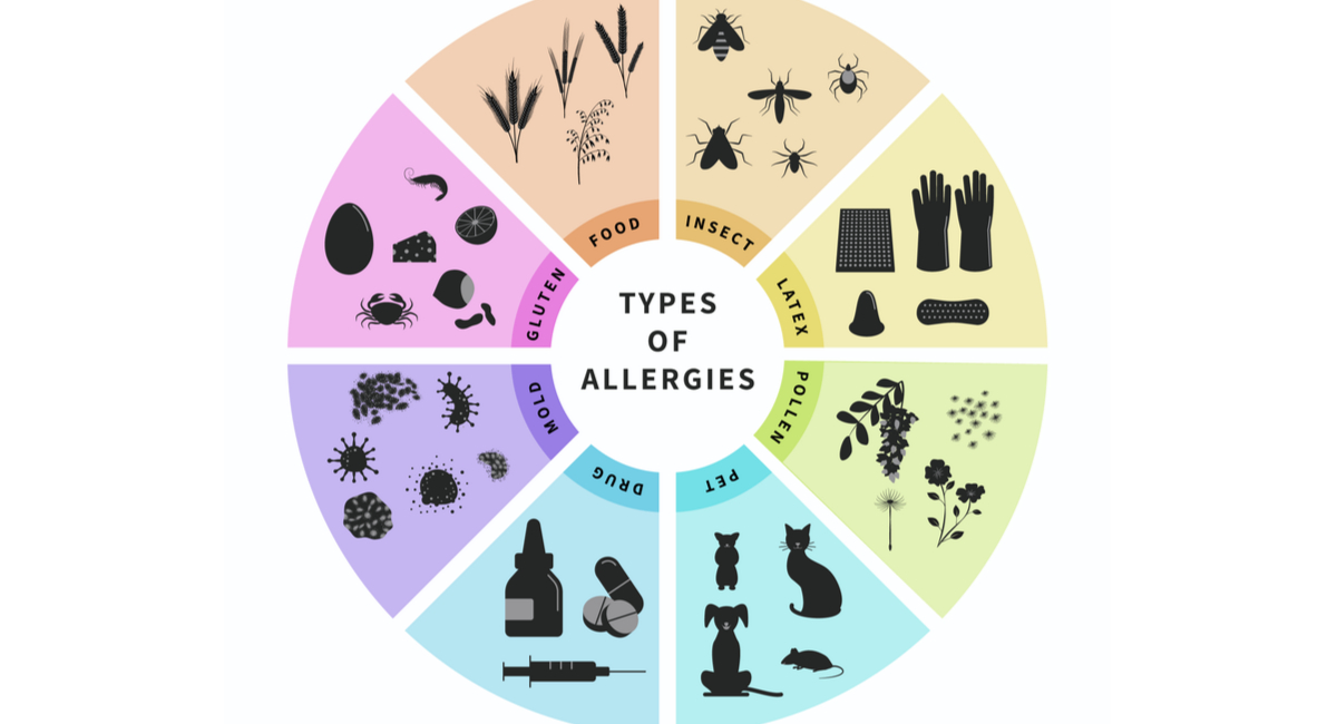 A visual representation of various types of allergies, including pollen, dust mites, pet dander, and food allergens.