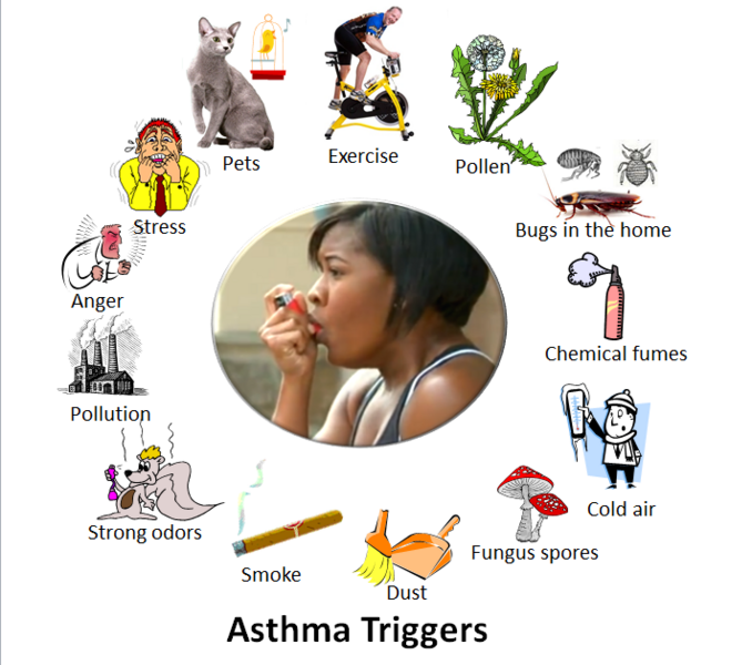 A woman surrounded by common asthma triggers, including dust, pollen, and smoke, highlighting her struggle with the condition.