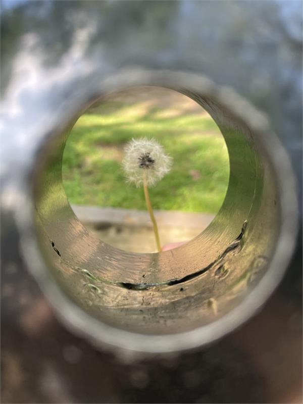 Intro to Digital Design and Photography