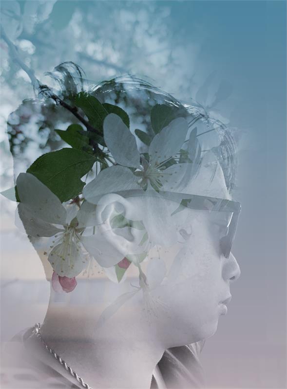 Intro to Digital Design and Photography