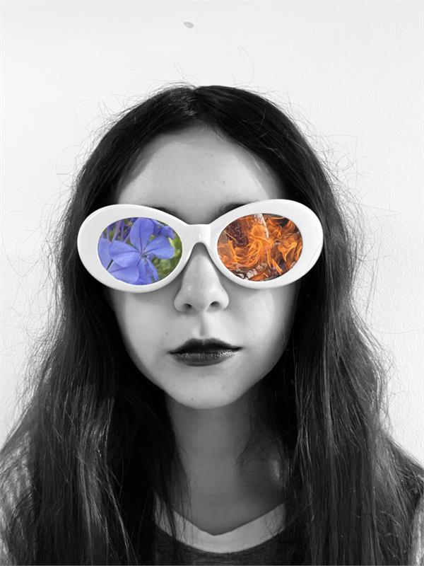 Intro to Digital Design and Photography