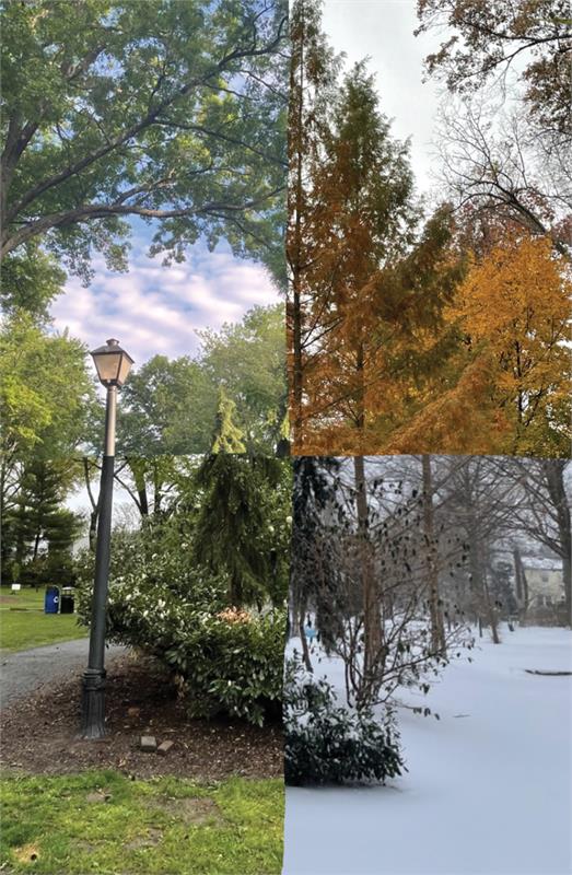 Intro to Digital Design and Photography