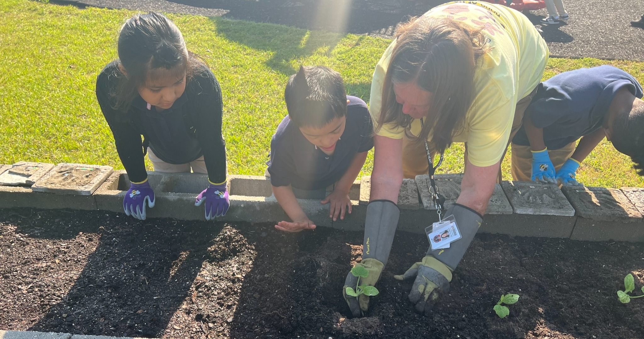 A teacher and students working in a raised garden bed