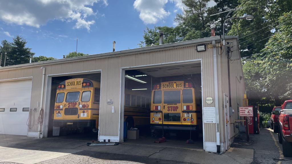 school Buses