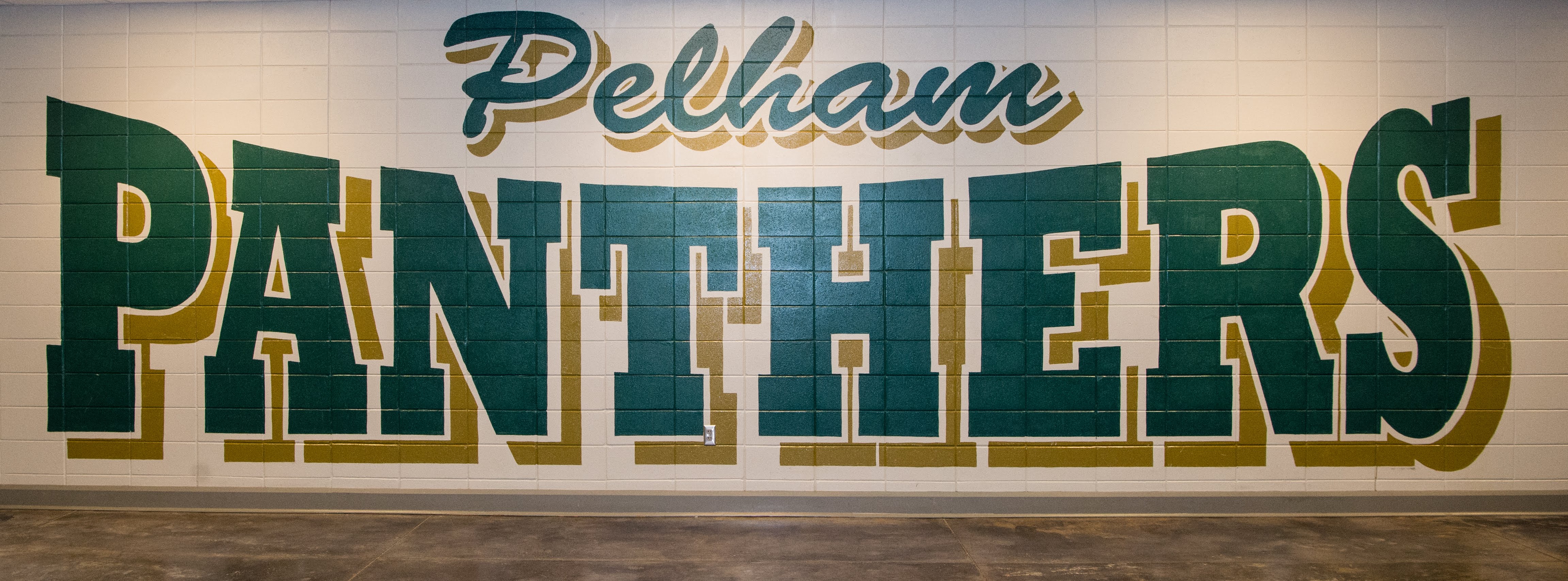 Pelham Panthers Logo