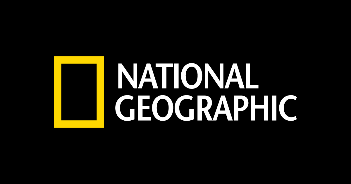 National Geographic logo displayed prominently on a black background, emphasizing its iconic design and brand identity.