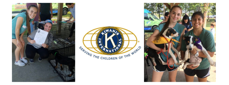 Two images featuring individuals with dogs, alongside one image displaying a sign.