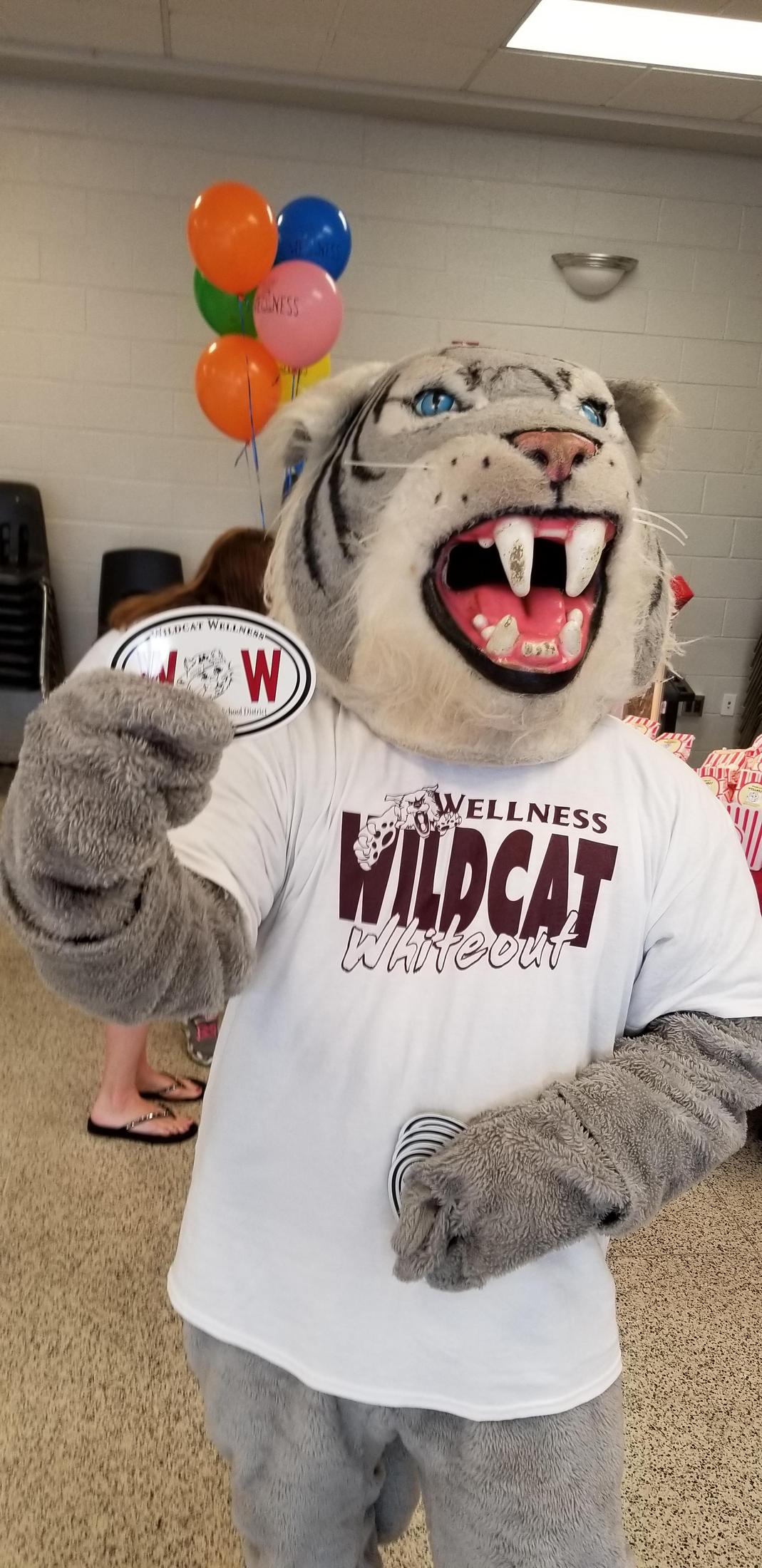 Wildcat Wellness