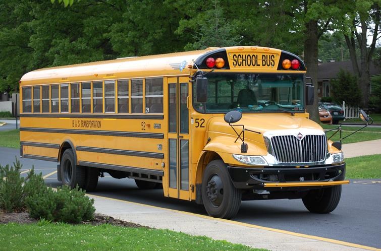 Bus
