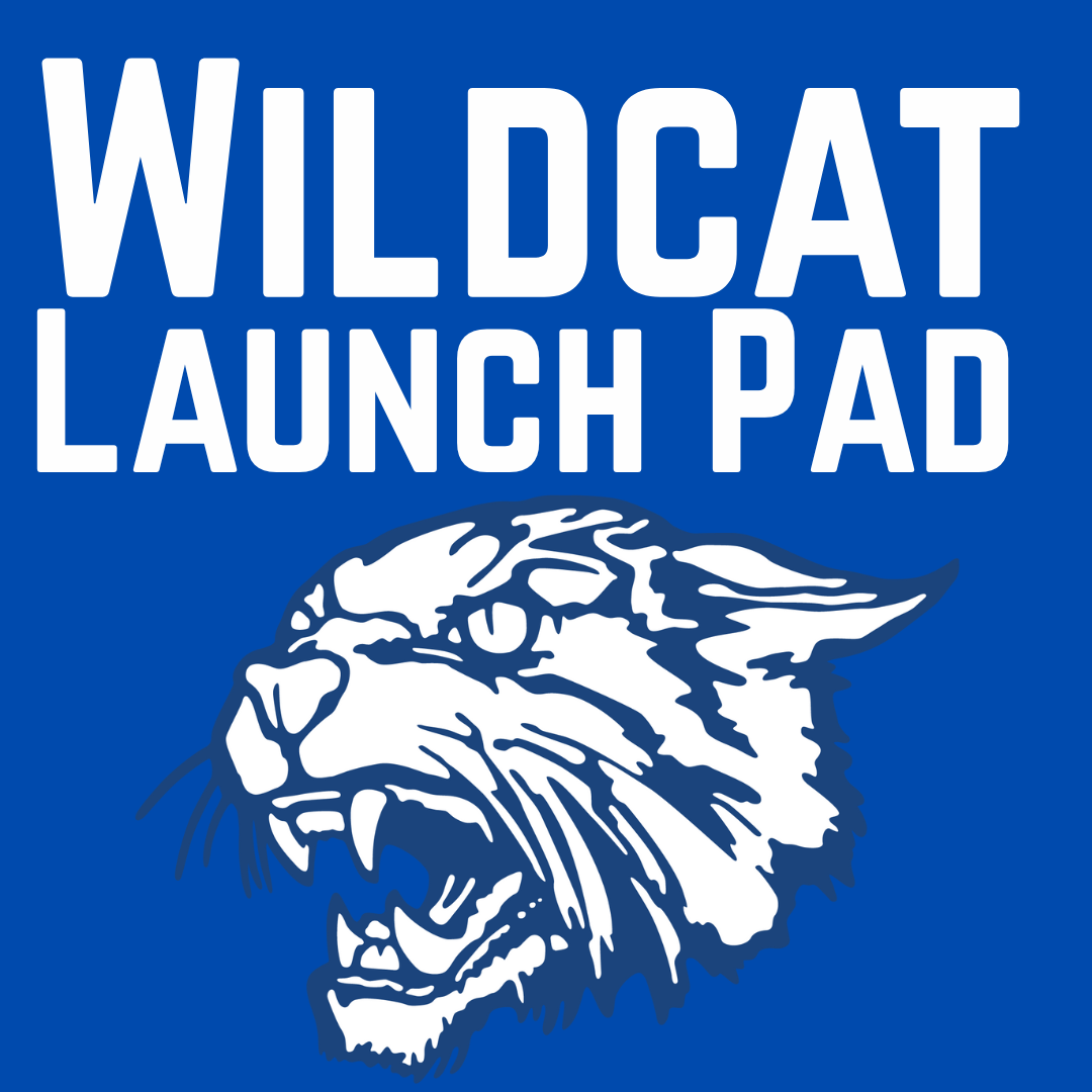 wildcat