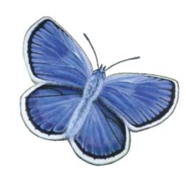 Karner Blue Education Center Logo