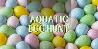 Adult Easter Egg Hunt Button