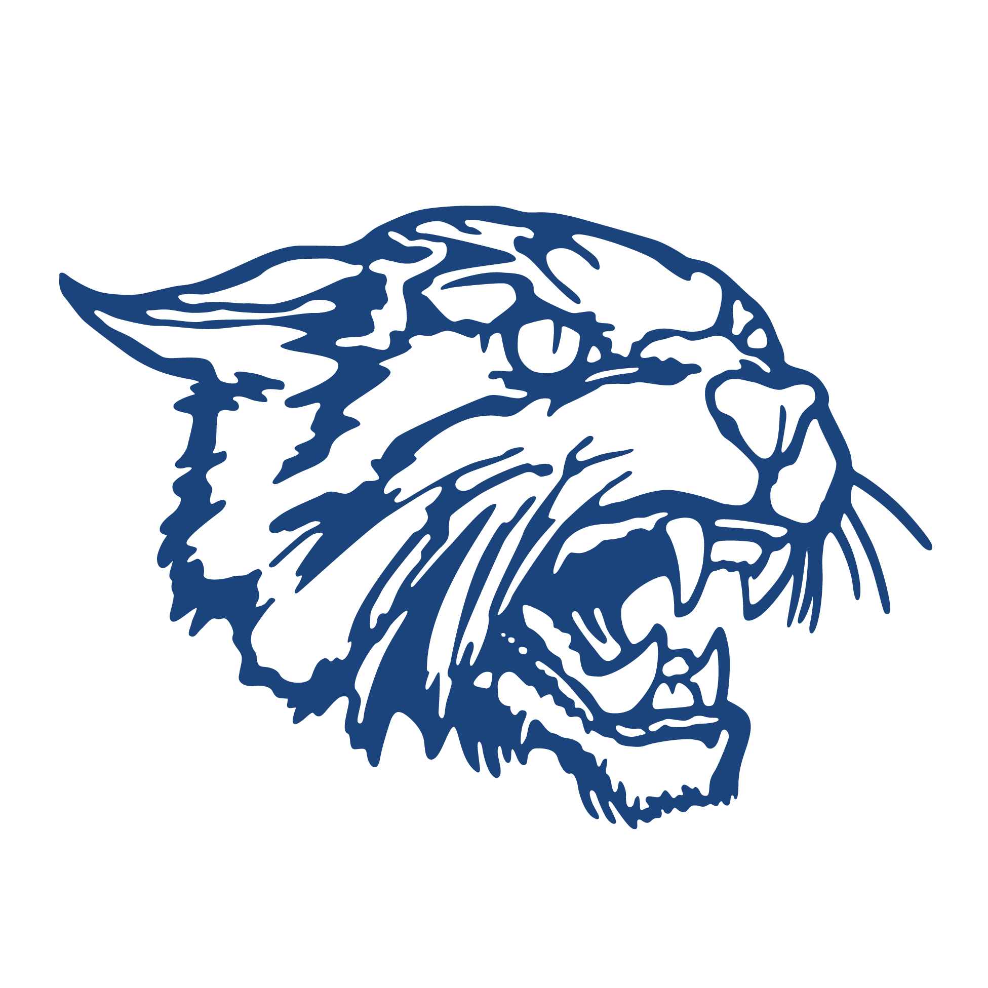 wildcat