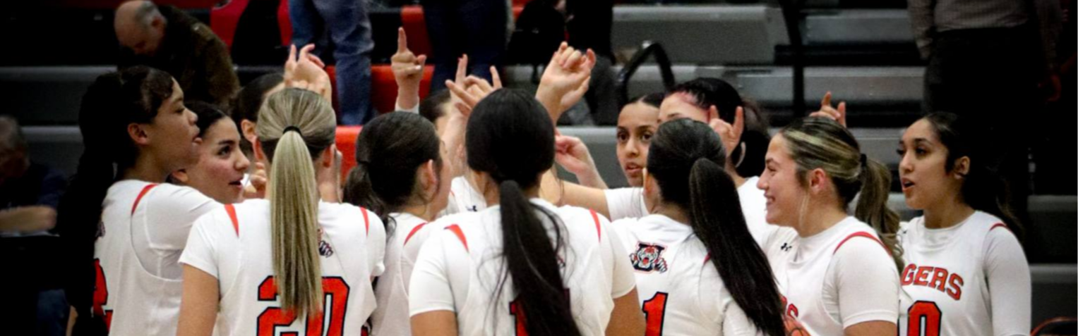 ladytigers