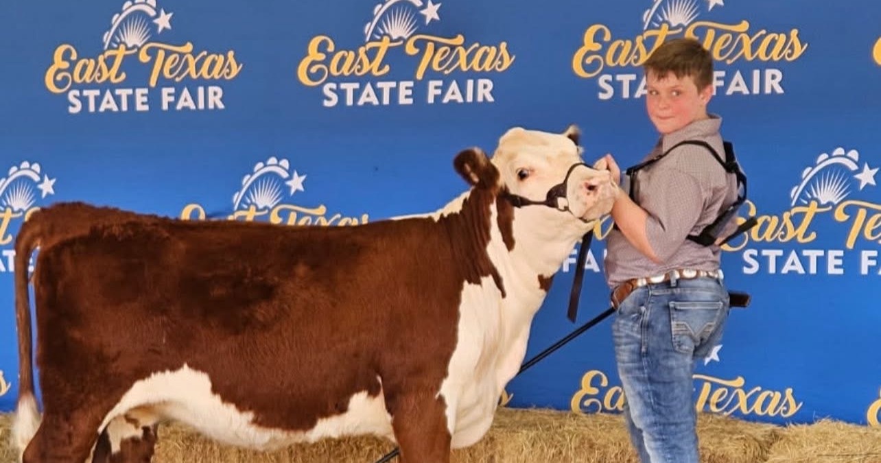 student with cow at show