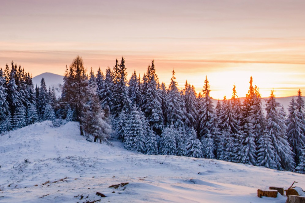 mountains with snow and trees and sunset