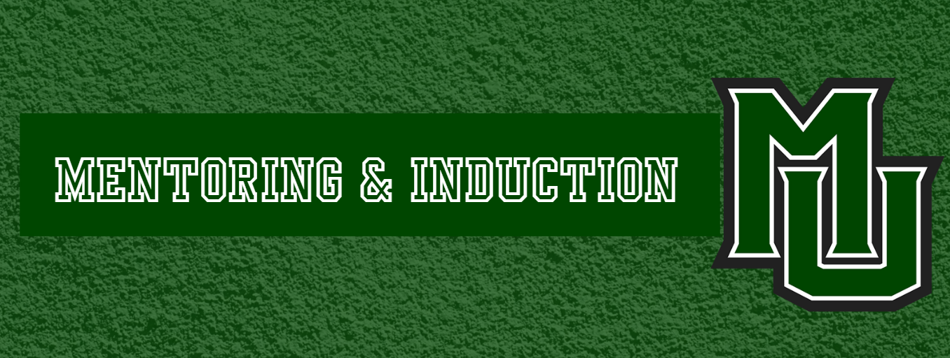 Mentoring Banner