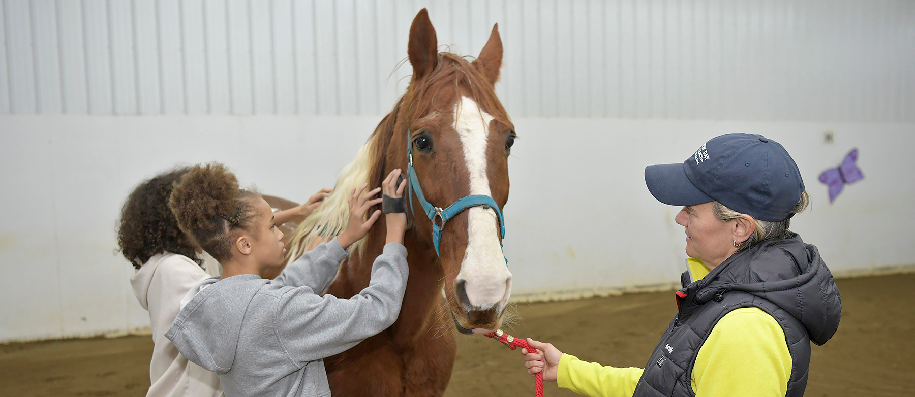 students grooming horse