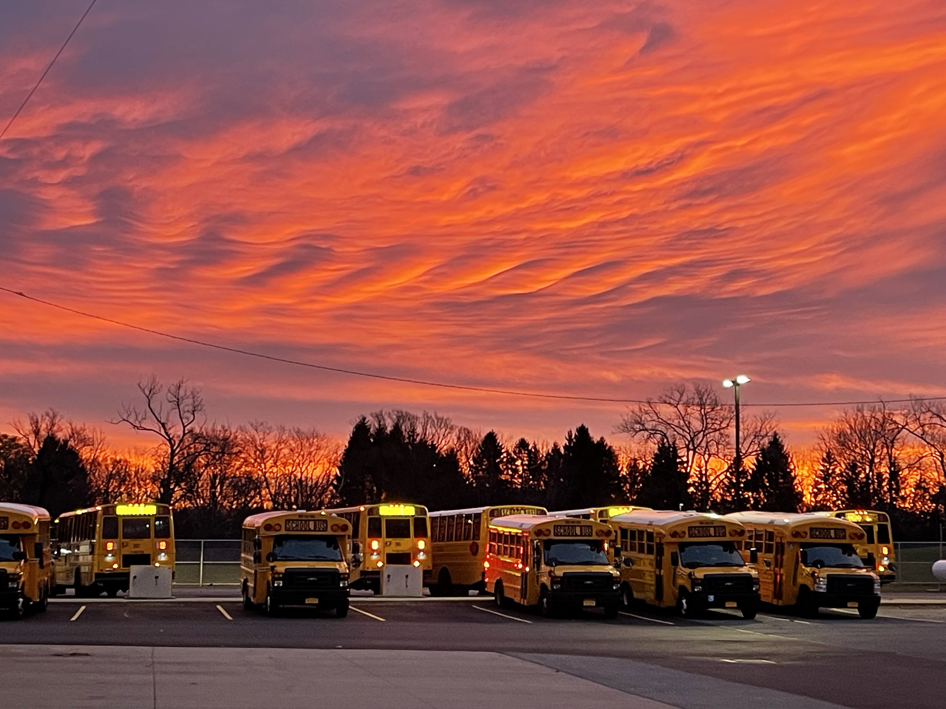 sunrise over buses