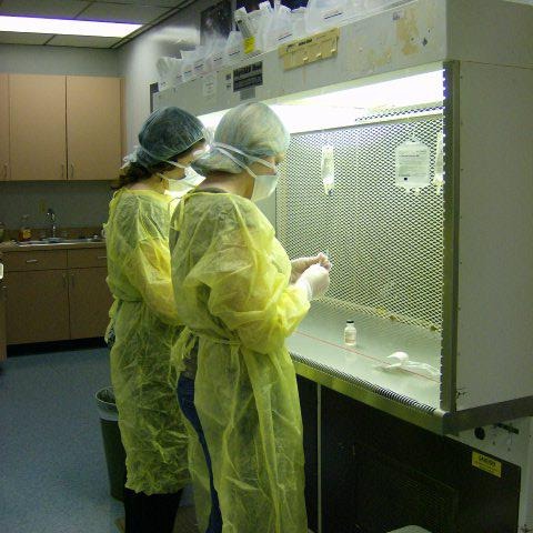 Pharmacy Technician