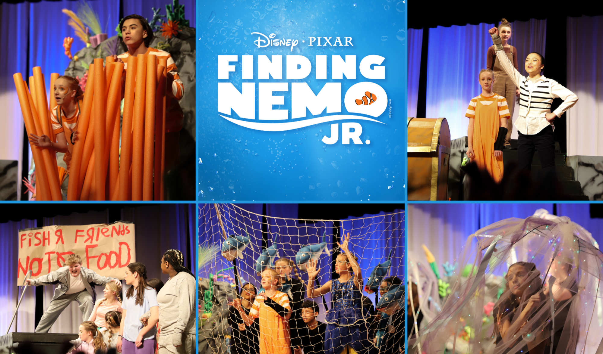 Finding Nemo Jr Photo Collage