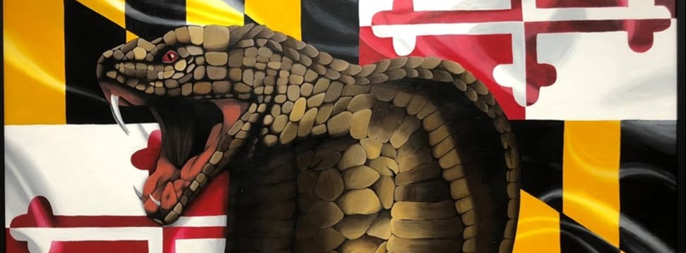 Harford Tech Cobra Mascot in front of Maryland flag