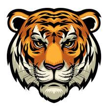STERLING TIGERS