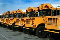 A row of yellow school buses parked in a lot under a blue sky.