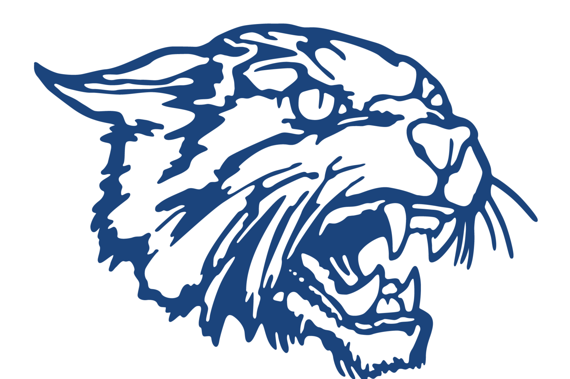 wildcat
