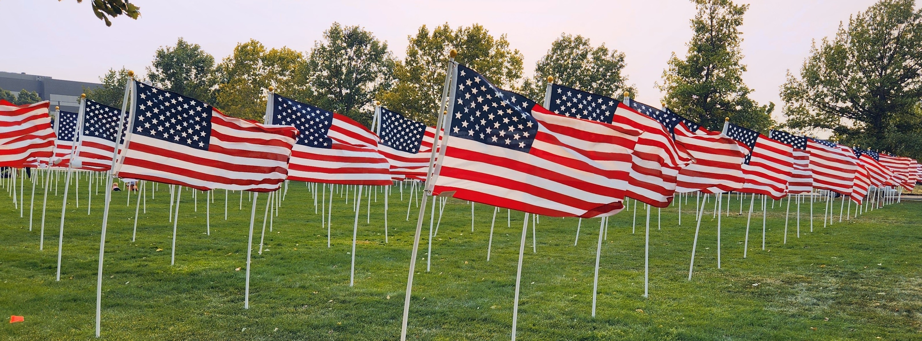 flags displayed