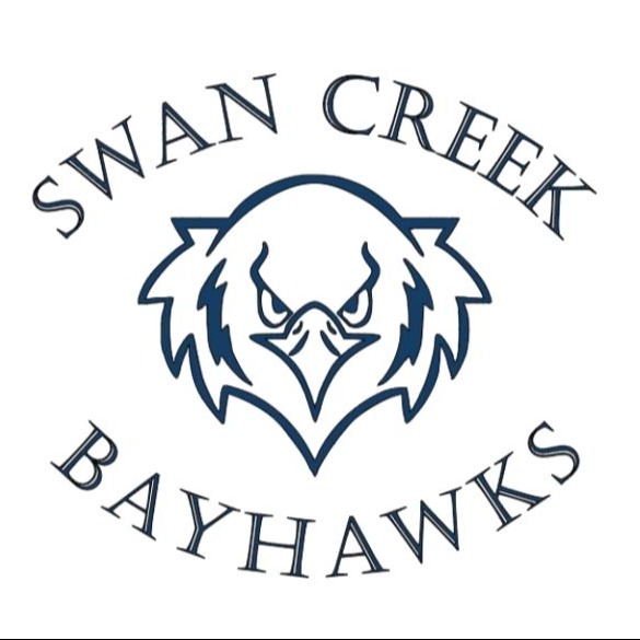 SCS Bayhawk graphic