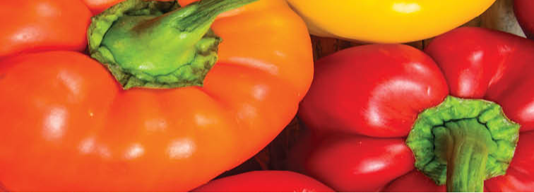 red, yellow and orange bell peppers