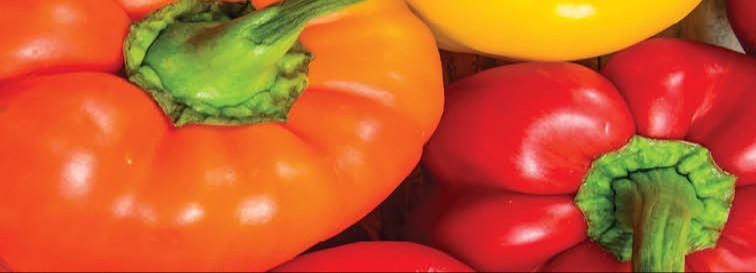 red, orange and yellow bell peppers