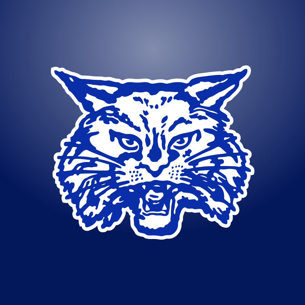 Home | Childress ISD