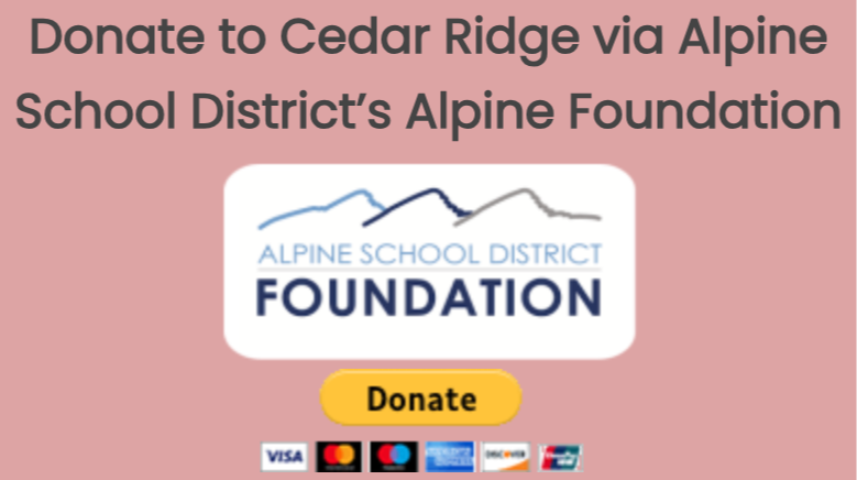 Donate/MySchoolFees