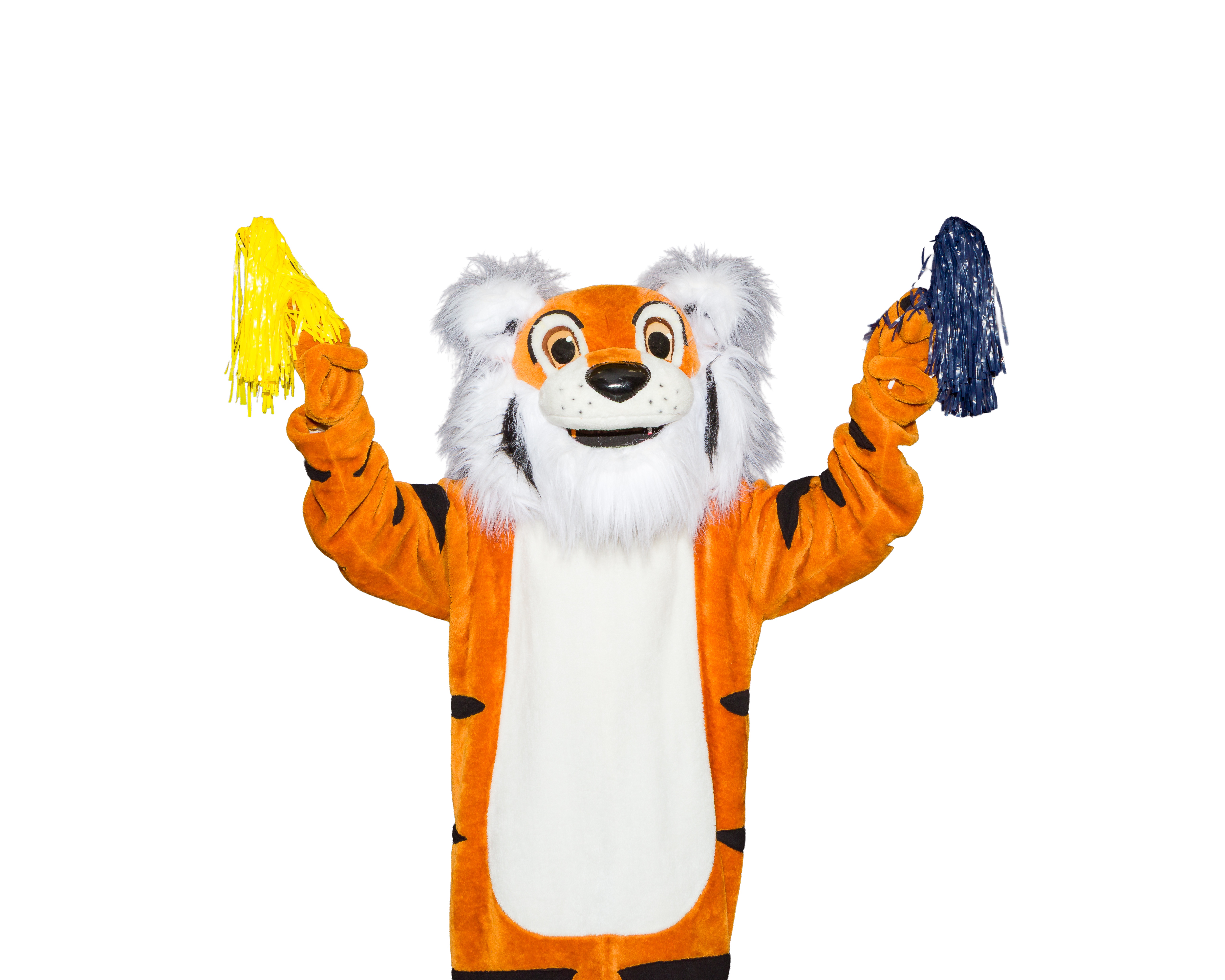 Taz the tiger holding blue and yellow pom poms