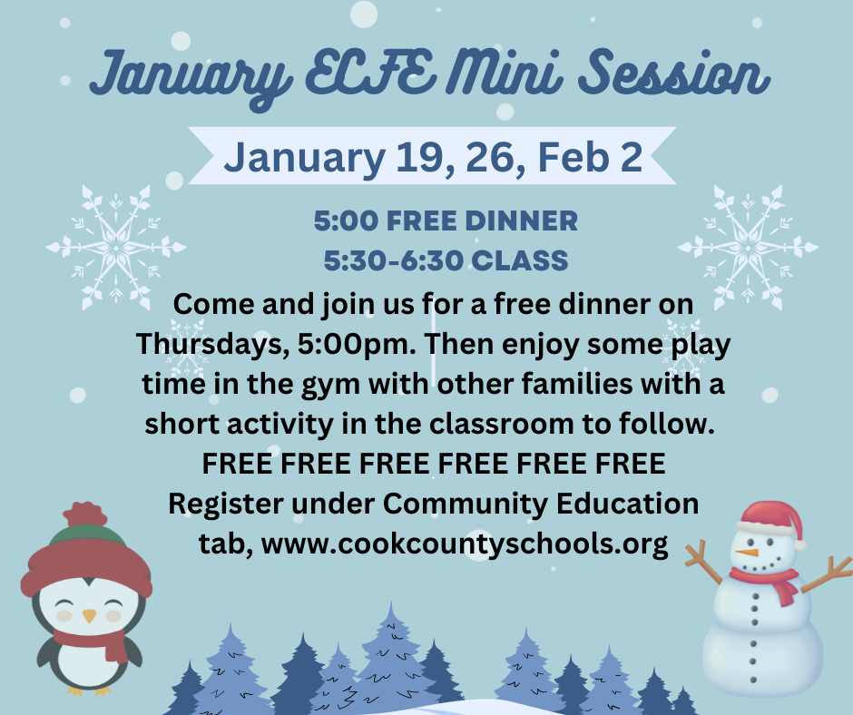 January ECFE mini sessions