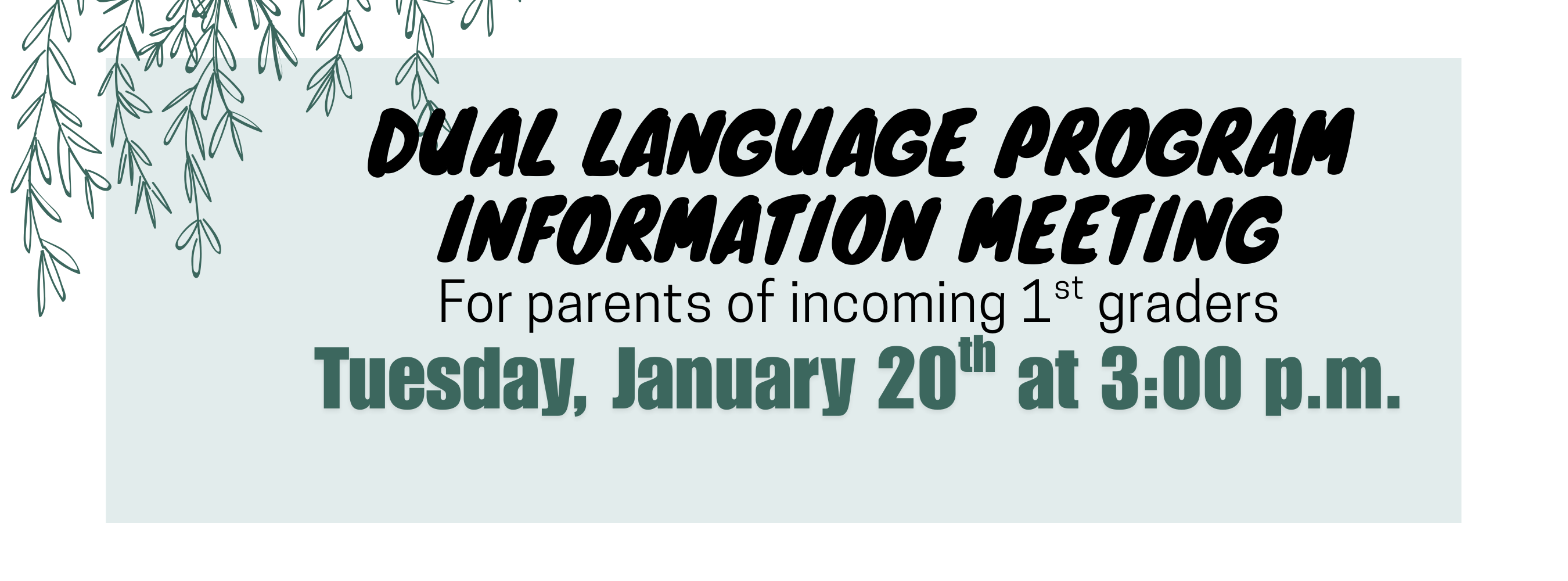 Dual Language Program