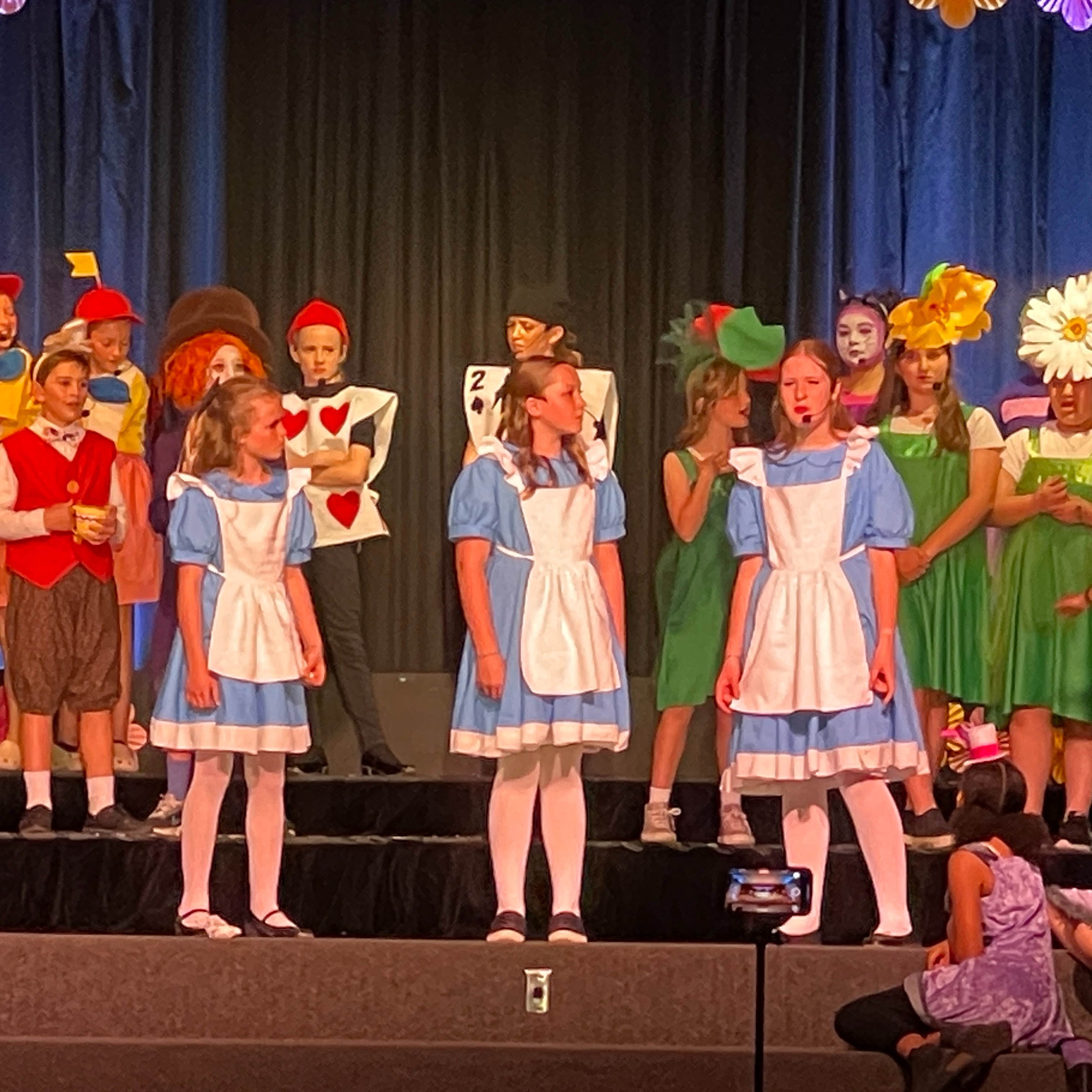 Alice in Wonderland