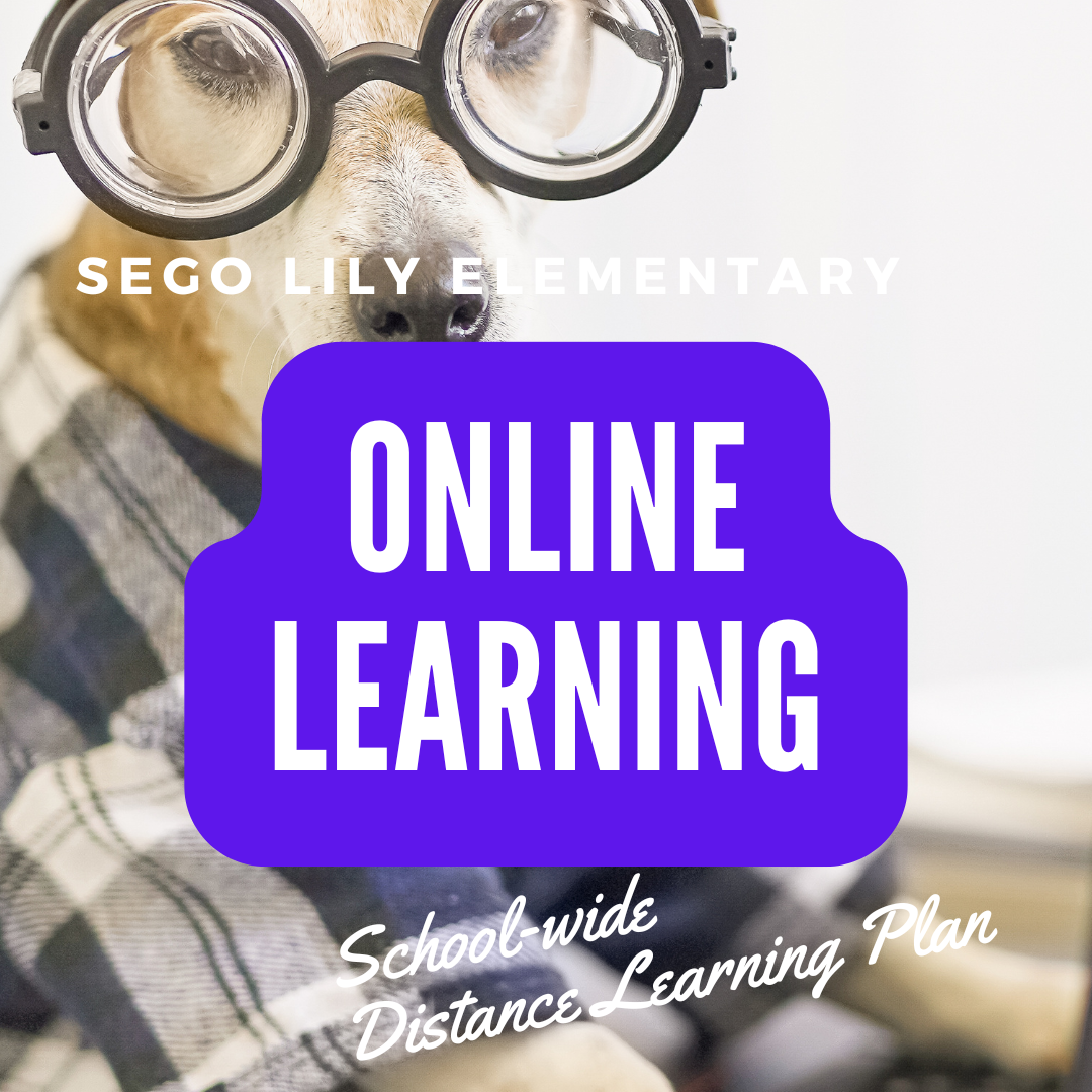 online learning days info