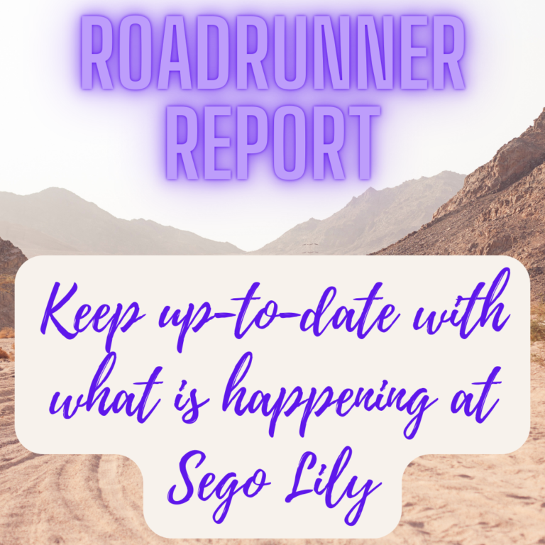 roadrunner report