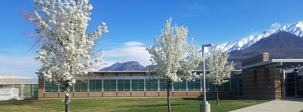 Photo of Windsor in the spring. Blossoms on trees