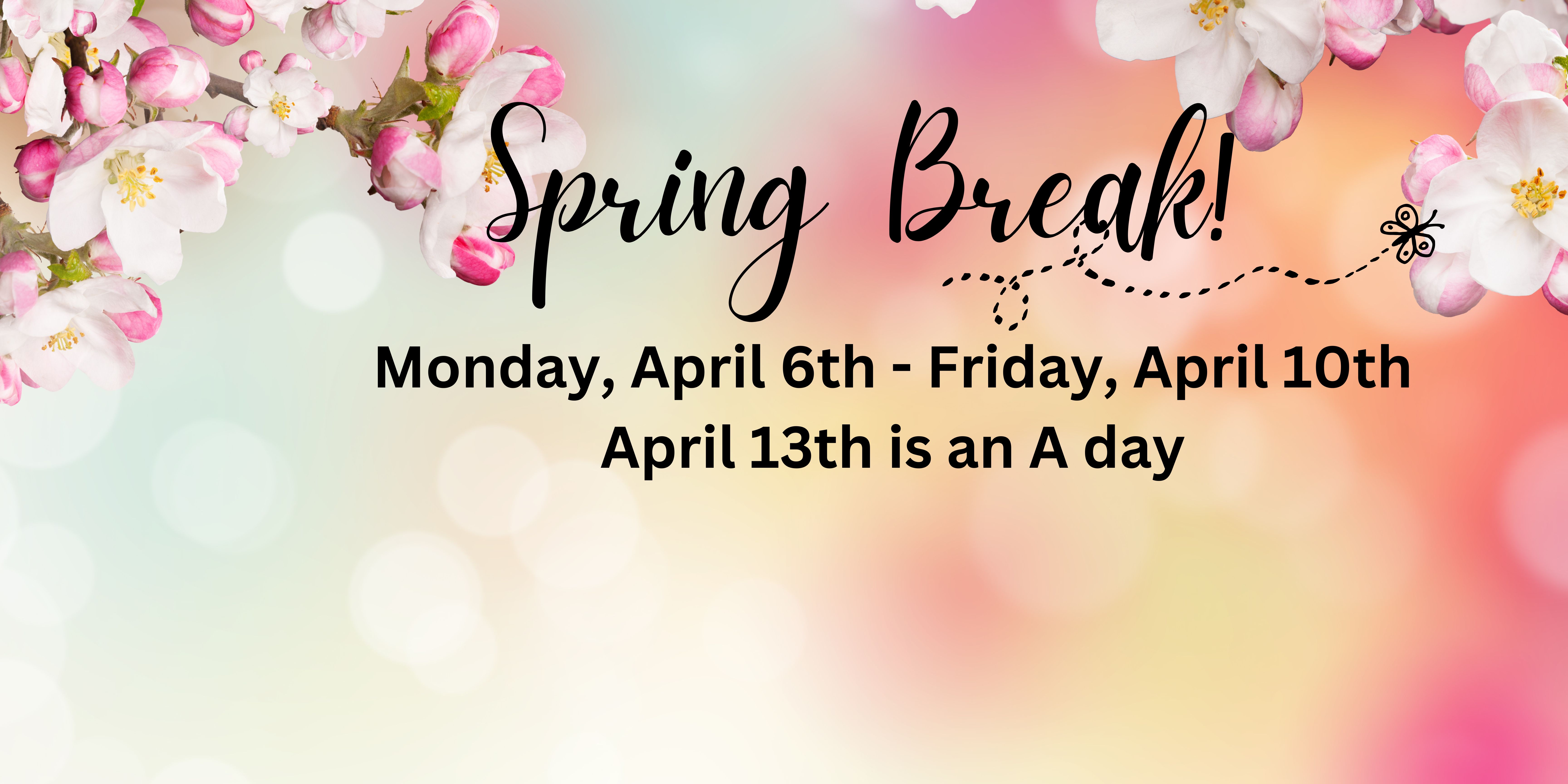 Colorful spring colors background with spring blossoms on branches.