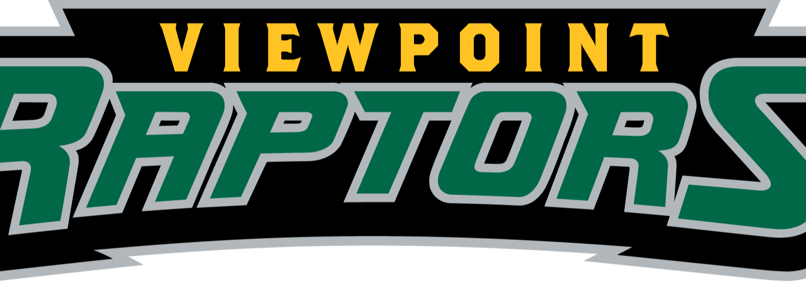 Viewpoint logo